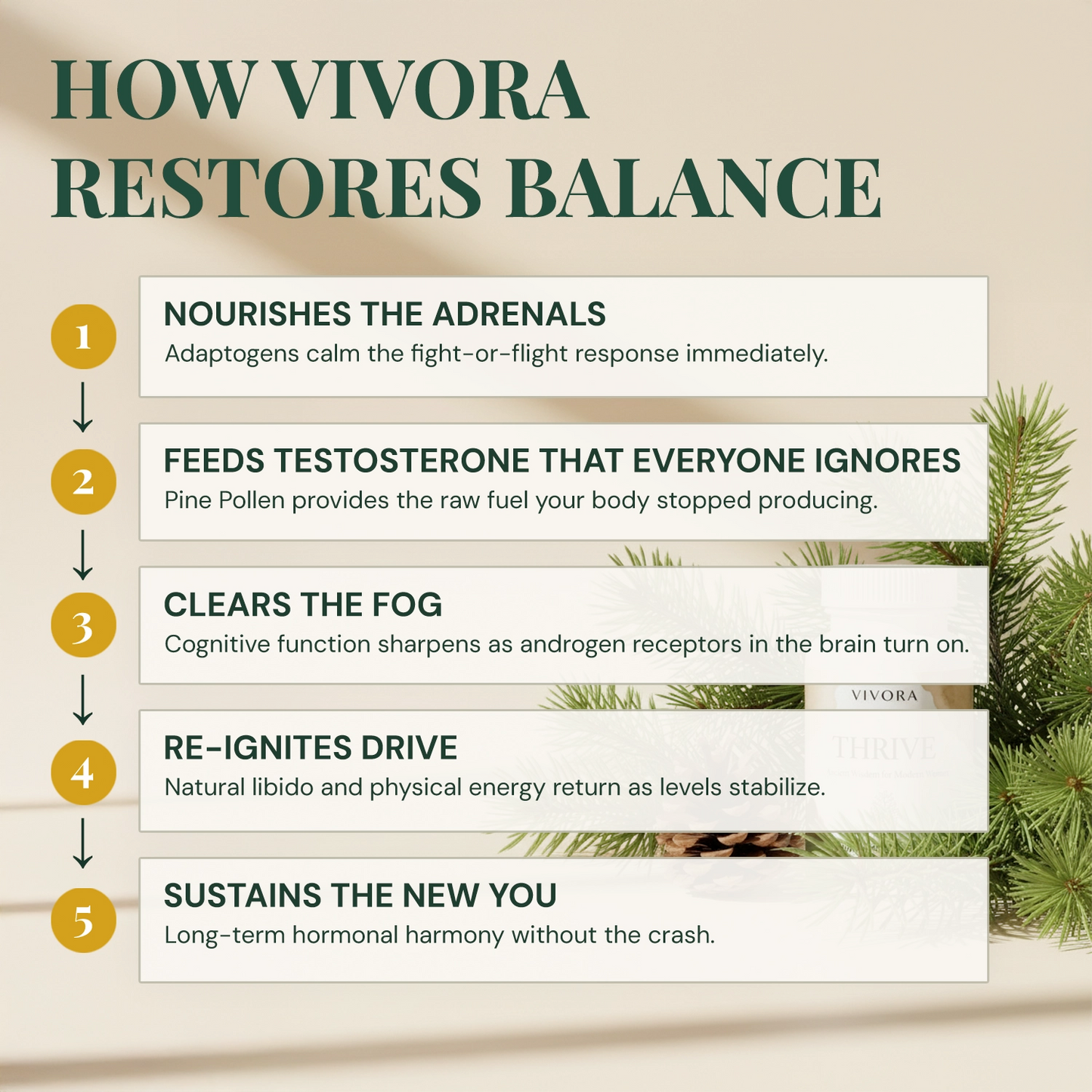 Vivora THRIVE
